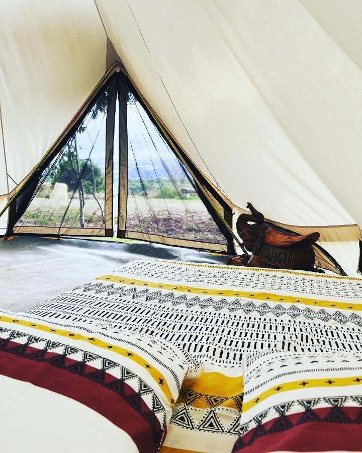 Les Petites Bulles De Massier Hotel Vienne  Luaran gambar
